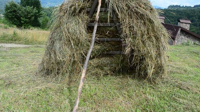 Hay in mountains, summer