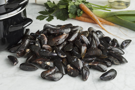 Fresh raw mussels
