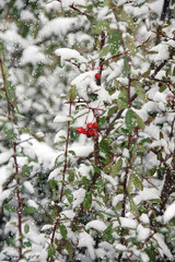 Winterlandschaften