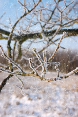 Winterlandschaften