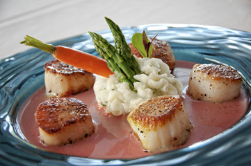 gourmet scallops meal at a high end seafood restaurant with mashed potatoes and vegetables
