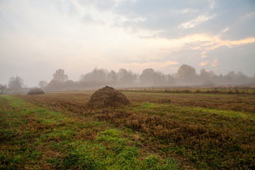 Stacks of straw on foggy morning