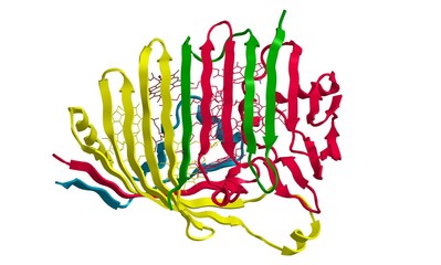 Obraz premium Molecular structure of Bacetriochlorophyll