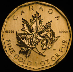 Canadian Gold Maple Leaf Coin .99999