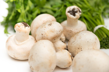 Fresh champignons and parsley 