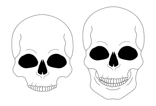 Contour lines skull 