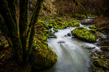 flowing water in a little creek