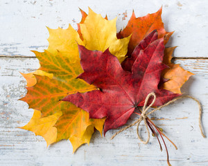 autumn leaves