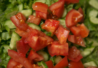 fresh vegetable salad with tomato and cucumber