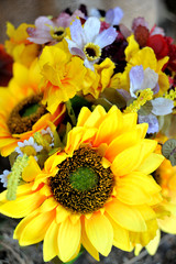 Beautiful bouquet of sunflowers close up