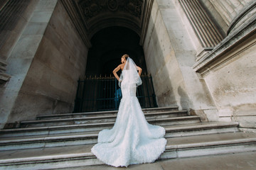 Fototapeta premium incredibly beautiful bride in a simple elegant long dress with a long veil in Paris