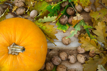 Orange pumpkin, pile of walnuts and dried leaves. Autumn composition