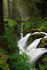 Obraz premium Sol Duc Falls and Bridge, Olympic National Park