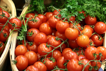 Lug-boxes of cherry tomatoes parsley and dill