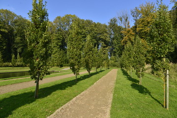 Chemins secondaires entres les arbres en automne au parc du château de Seneffe 