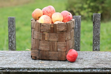 apples in a wicker basket old retro vintage rustic style summer autumn