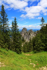 Torkopf