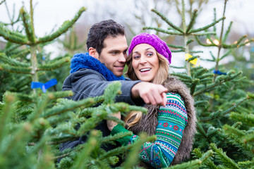 Paar schaut nach Weihnachtsbäumen zum kaufen