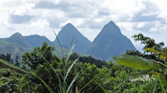 St Lucia famous Piton mountain peak jungle HD 1596