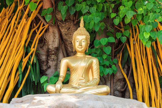 Golden Buddha statue