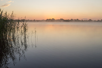 sunrise with grasses on lake