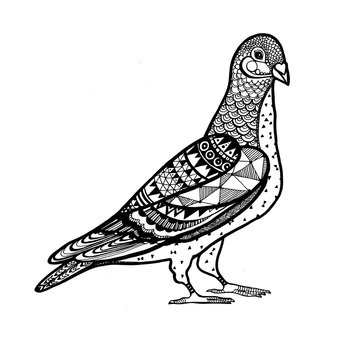Ornamental Pigeon, trendy ethnic zentangle design, hand drawn, isolated vector illustration
