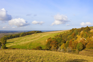 meadow lands in autumn