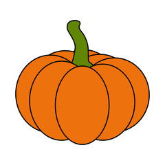 Halloween pumpkin vector illustration isolated on white background.Halloween pumpkin vector illustration isolated on white background.