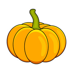 Halloween pumpkin vector illustration isolated on white background.