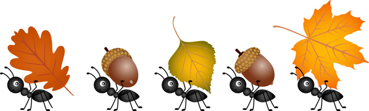 Ants carrying autumn leaves and acorns