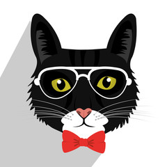 Pet and animal icon 