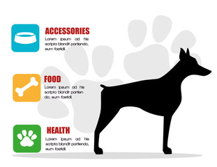 Obraz premium Pet and animal icon 