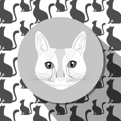 Pet and animal icon 