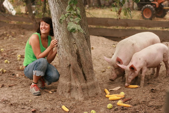 Girl and two pigs in traditional farm