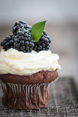 chocolate cupcake with blackberries
