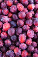 Fresh ripe red plums