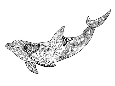 Cute dolphin. Adult antistress coloring page
