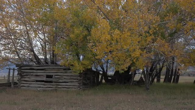 Pioneer log cabins in rural farm field 4K 074