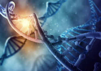 DNA molecule © Sergey Nivens
