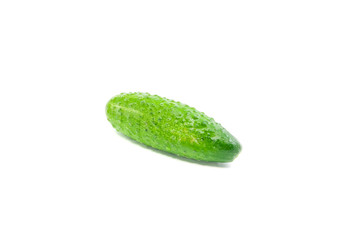 single fresh cucumber on white