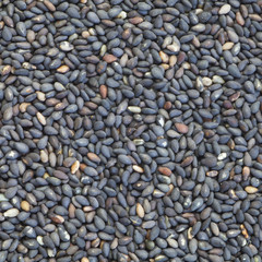 Black dry sesame seed , a common ingredient in cuisine