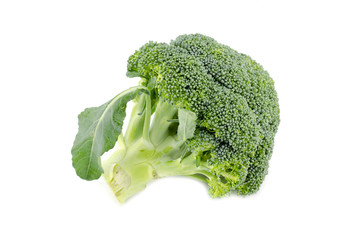 fresh broccoli on white background