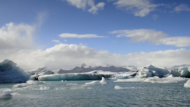 Icebergs floating in the Jokulsarlon glacier lagoon in Iceland with seals swimming around.