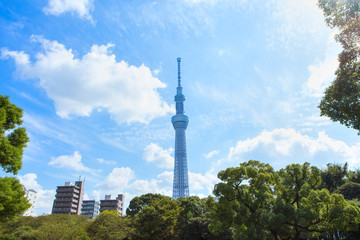 Obraz premium 東京スカイツリー
