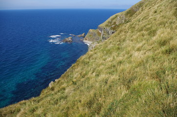 天売島の崖