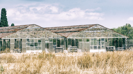 greenhouses abandoned agriculture