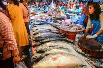 local fish market in Asia
