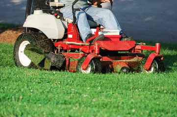 Fototapeta na wymiar mowing the lawn