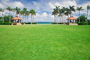 Green lawn in tropical resort