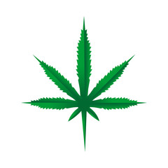 Cannabis - Marijuana